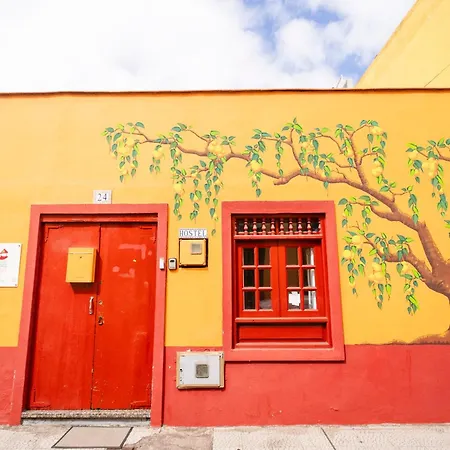 Tenerife Hostel *