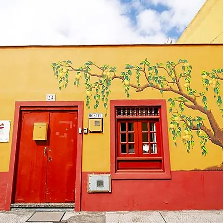 Tenerife Hostel