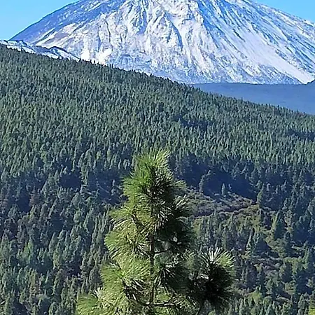Tenerife *