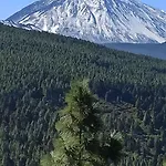 Tenerife بيت شباب